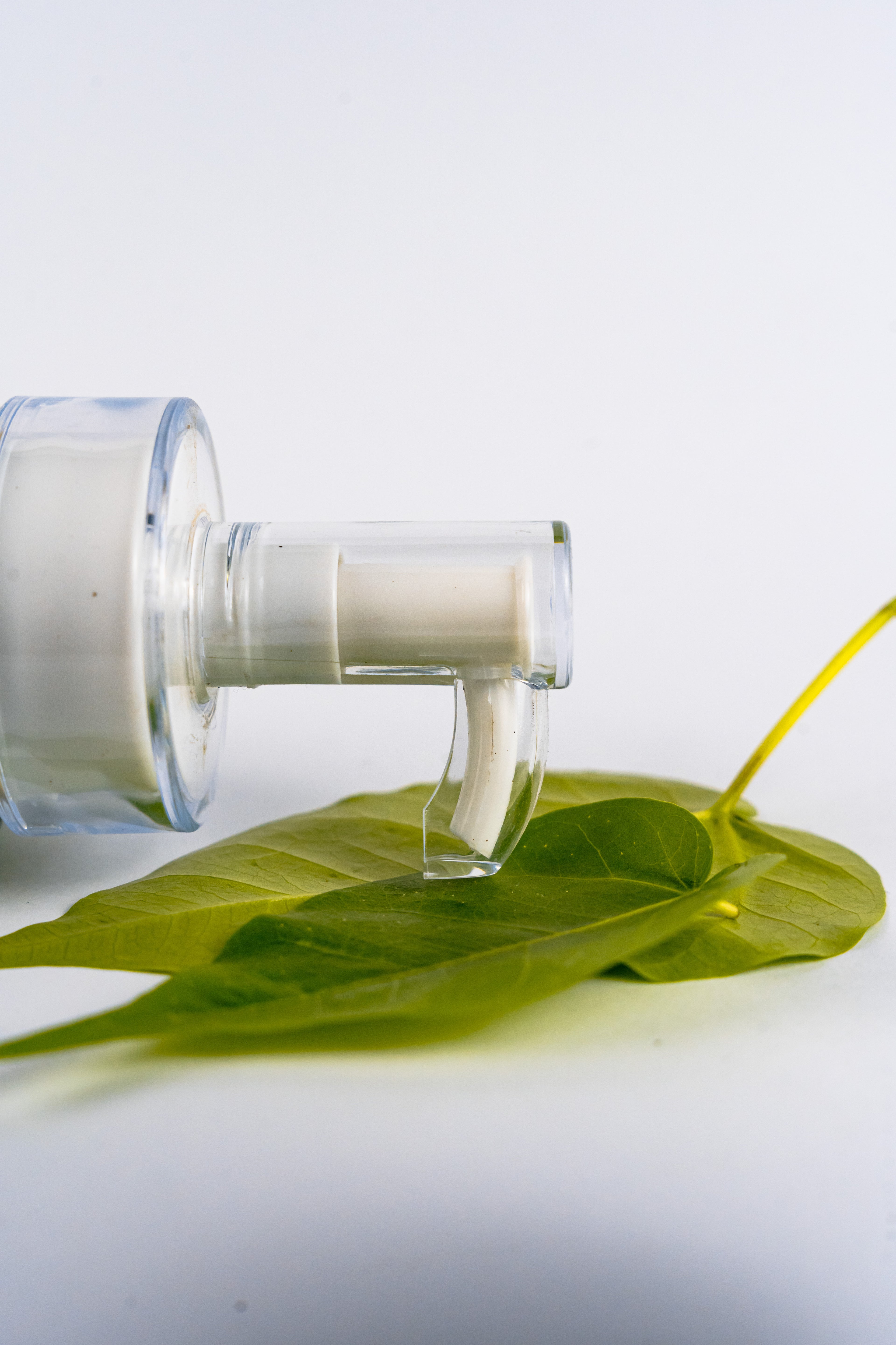 Rootéva Sulfate & Paraben Free Shampoo